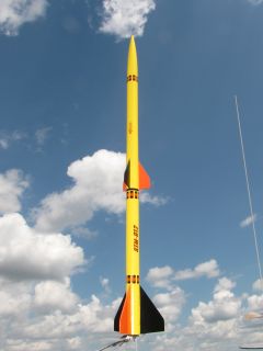 Long Yellow Rocket