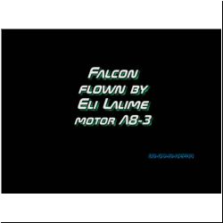 03-09-13-Eli-Lalime-Falcon.wmv